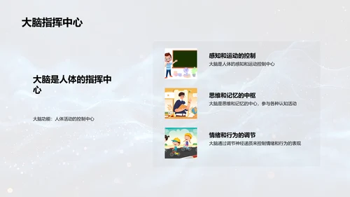 解析人体科学PPT模板