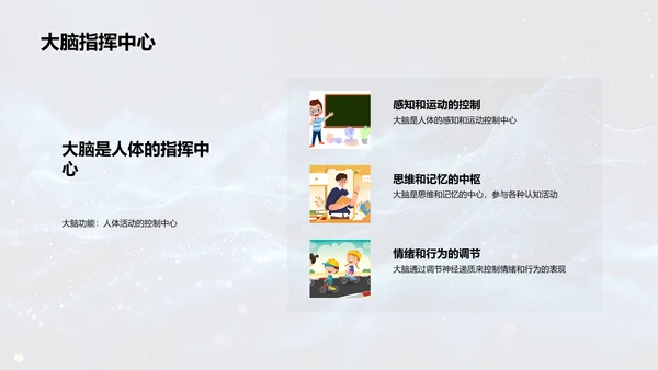 解析人体科学PPT模板