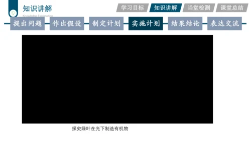 3.3.4  绿色植物是生物圈中有机物的制造者  课件-2023-2024学年人教版生物七年级上册(