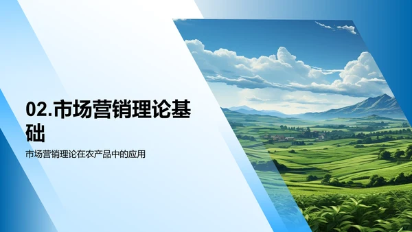 农产品营销策略
