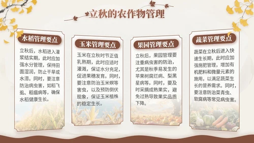 褐色中国风立秋节气文化知识主题班会
