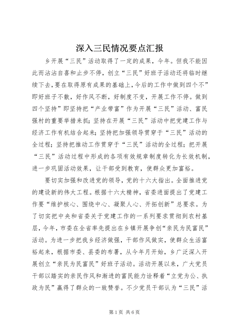 深入三民情况要点汇报.docx