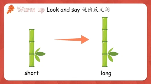 Unit 1 How tall are you PA let's learn课件(共36张PPT)