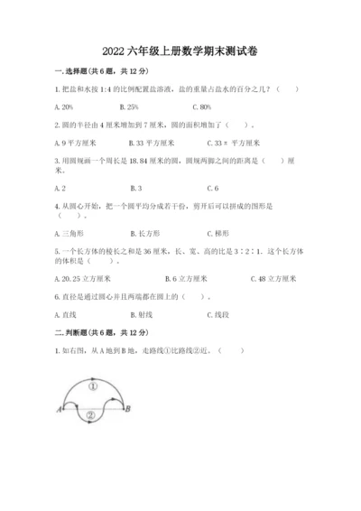 2022六年级上册数学期末测试卷含完整答案（网校专用）.docx