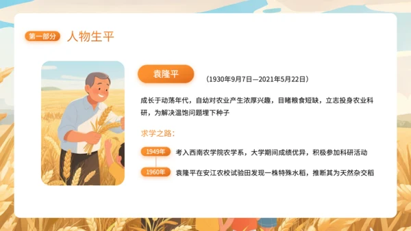 橙色插画风杂交水稻之父袁隆平PPT