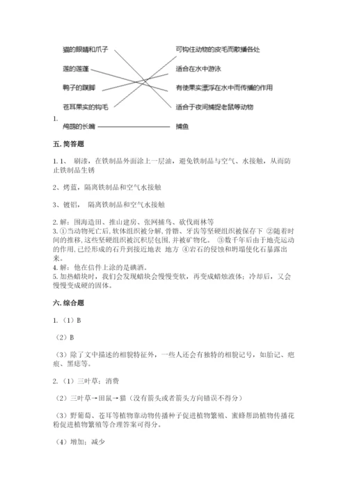 教科版科学六年级下册期末测试卷及答案参考.docx