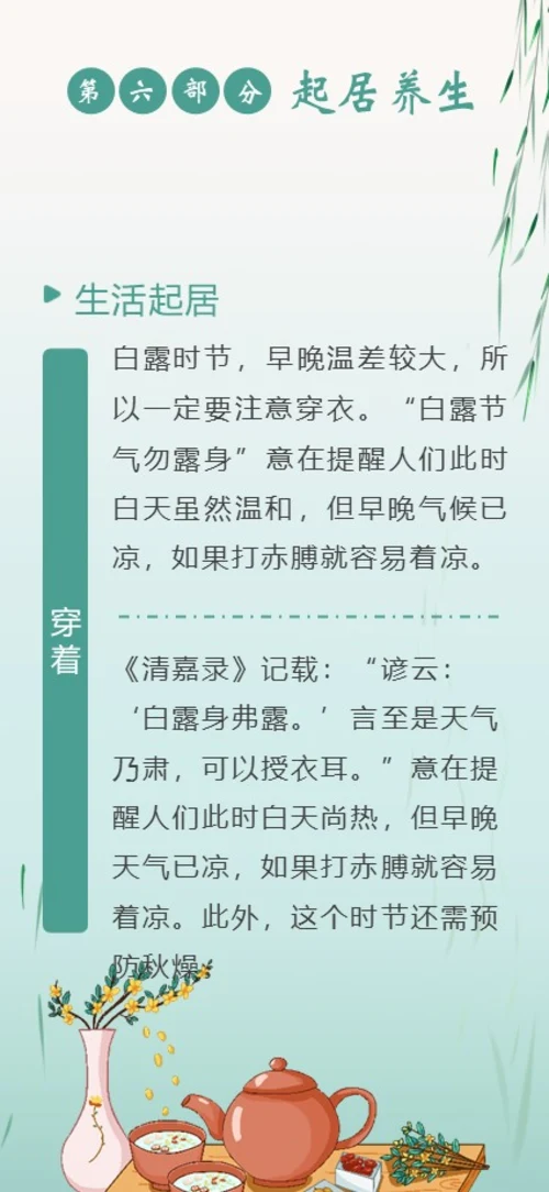 白露节气二十四节气知识手机竖版PPT课件