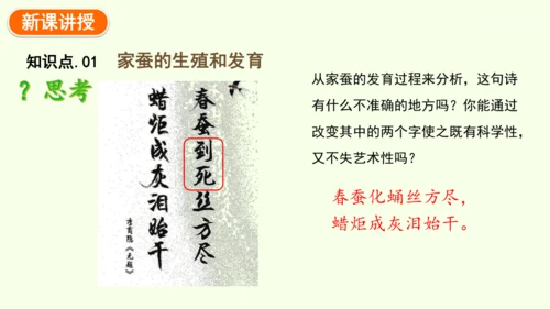7.1.2昆虫的生殖和发育-八年级生物人教版下学期同步精品课件(共29张PPT)