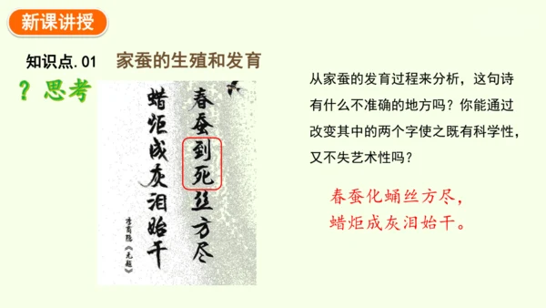 7.1.2昆虫的生殖和发育-八年级生物人教版下学期同步精品课件(共29张PPT)