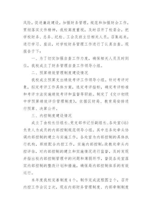 学校财务自查报告.docx