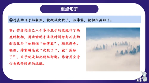 统编版六年级语文下学期期中核心考点集训第三单元（复习课件）