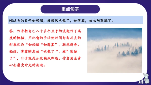 统编版六年级语文下学期期中核心考点集训第三单元（复习课件）