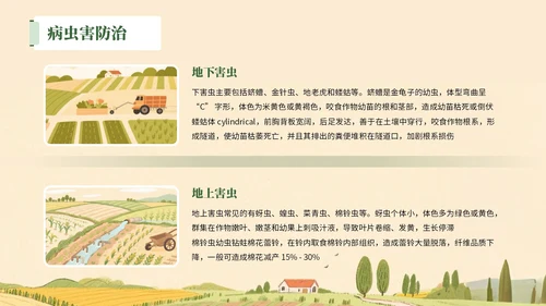 绿色插画风格提升农业技术+助力丰产丰收PPT模板