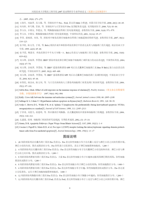 牧医工程学院本科学生论文电子模版.docx