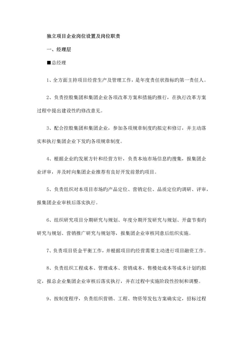 独立项目公司岗位设置及岗位职责.docx