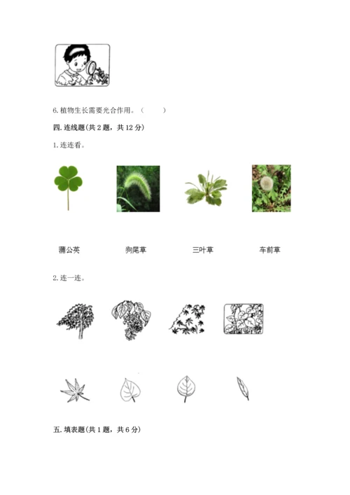 教科版科学一年级上册第一单元《植物》测试卷含完整答案（全优）.docx