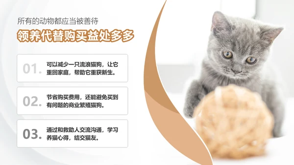 宠物领养猫咪通用PPT模板