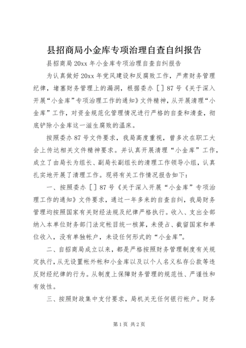 县招商局小金库专项治理自查自纠报告.docx