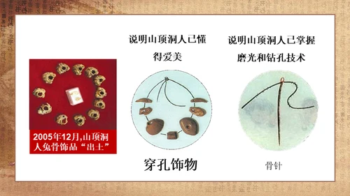 初中历史《人类起源》教学通用PPT课件