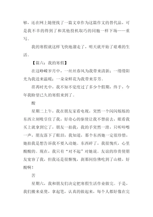 我的寒假作文800字.docx