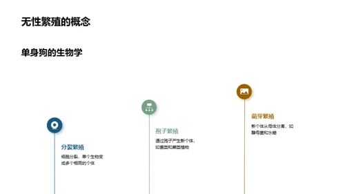 生物繁殖与进化解析