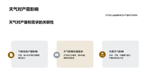 玉米产业新篇章