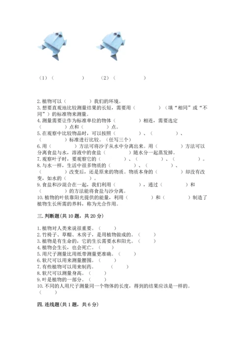 教科版一年级上册科学期末测试卷含答案（最新）.docx