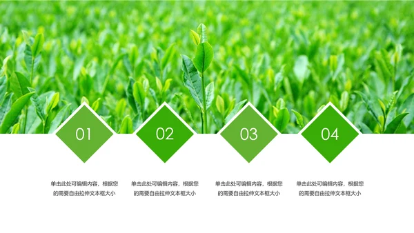唯美绿色茶园茶文化品茶论道PPT模板