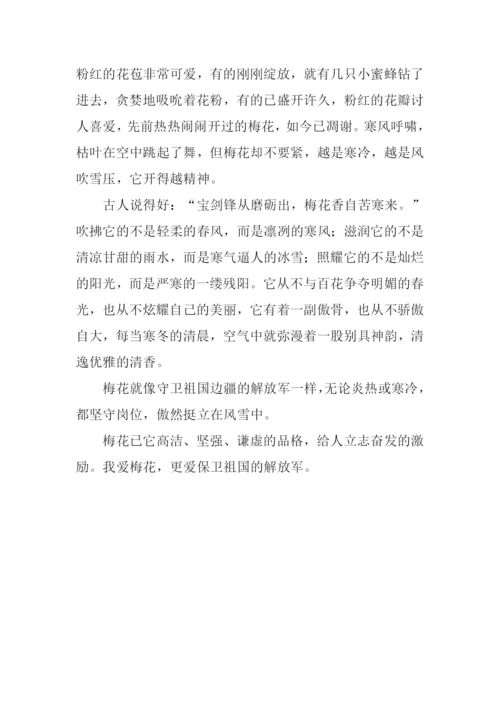 梅花的启示作文400字.docx