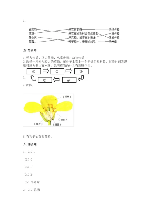 科学四年级下册第一单元植物的生长变化测试卷及答案.docx