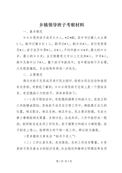 乡镇领导班子考察材料.docx