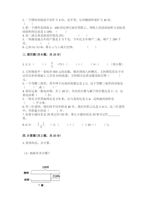 平安县六年级下册数学期末测试卷有精品答案.docx