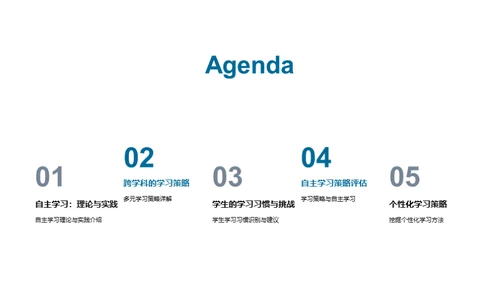 自主学习策略探索