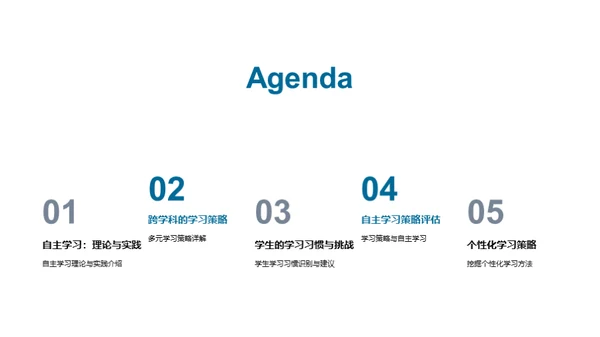 自主学习策略探索