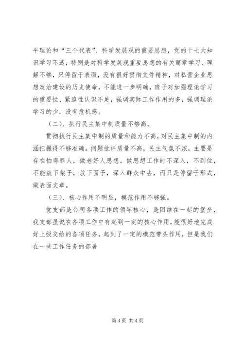 公司班子成员民主生活会剖析材料 (3).docx