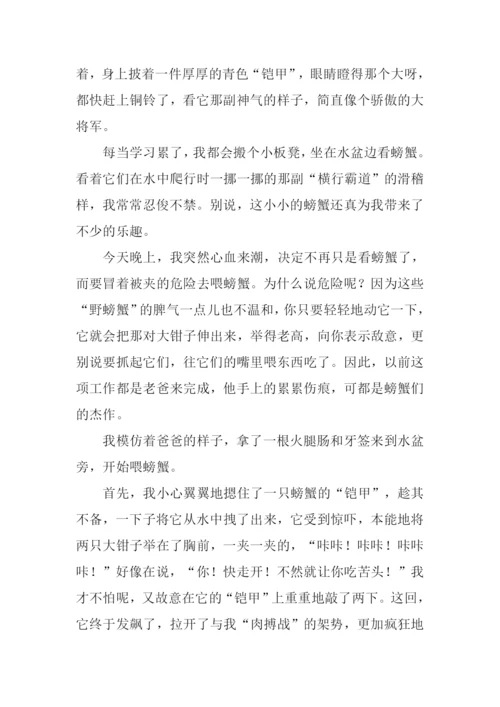 关于螃蟹的作文.docx