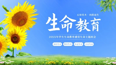 生命教育认识生命珍爱生命教育主题班会PPT课件