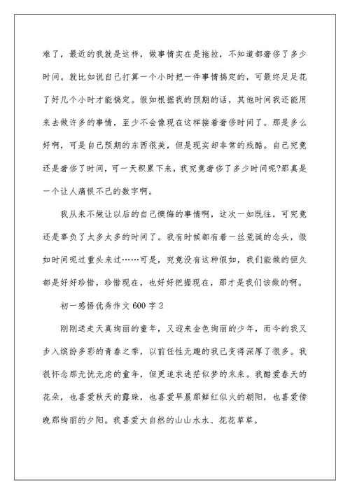 初一感悟优秀作文600字5篇