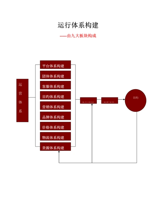 电子商务运营体系.docx