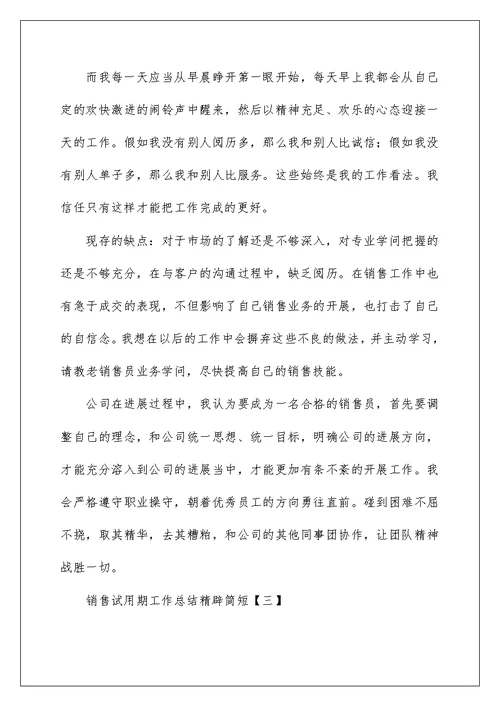 销售试用期工作总结精辟简短