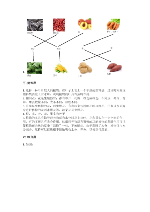 教科版四年级下册科学第一单元《植物的生长变化》测试卷【易错题】.docx