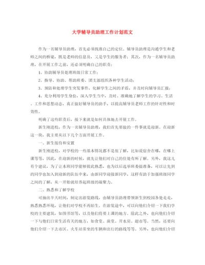 精编之大学辅导员助理工作计划范文2.docx
