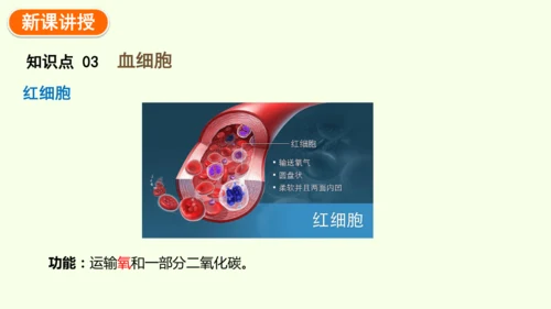 4.4.1流动的组织——血液-七年级生物下学期同步精品课件（2024人教版）(共38张PPT)