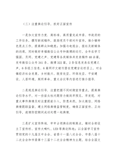 乡镇意识形态工作责任制落实情况.docx