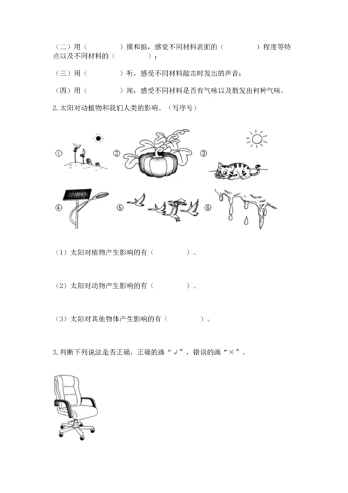 教科版科学二年级上册《期末测试卷》含答案【新】.docx