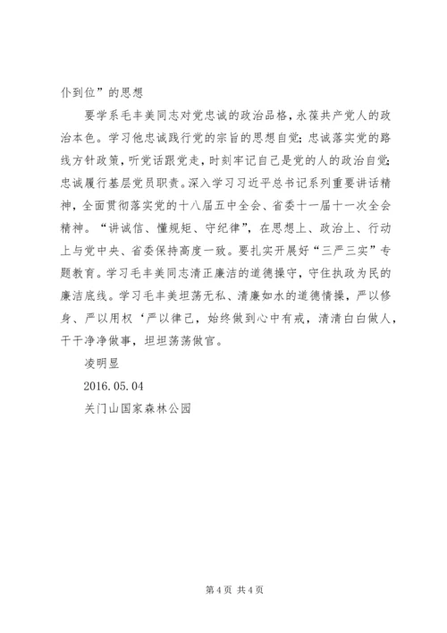 学习毛丰美征文20XX年5 (3).docx