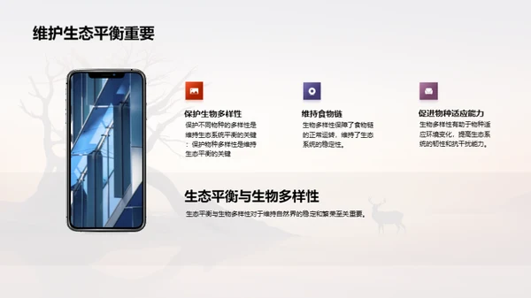 简约风其他行业教学课件PPT模板