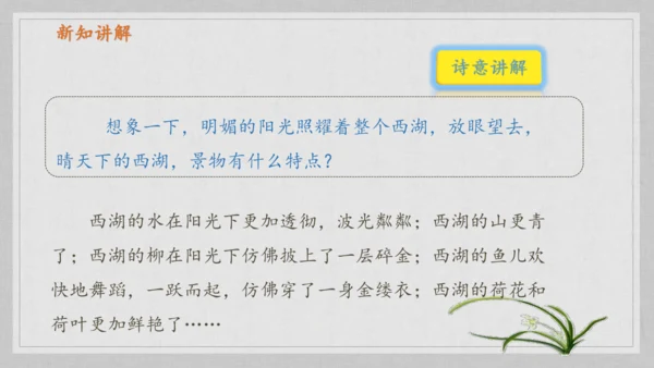 17课《古诗三首》《望天门山》《饮湖上初晴后雨》   课件