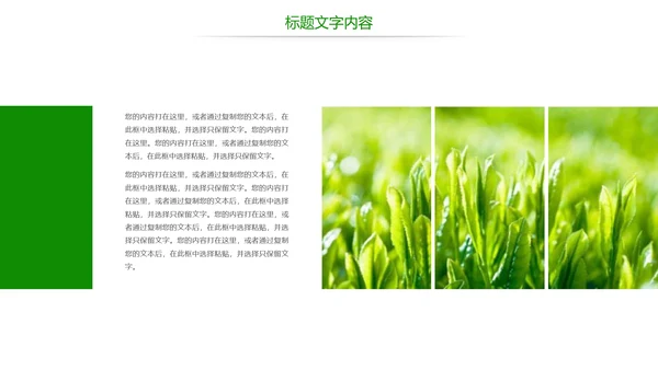 绿色唯美茶园艺术品茶文化茶园PPT模板
