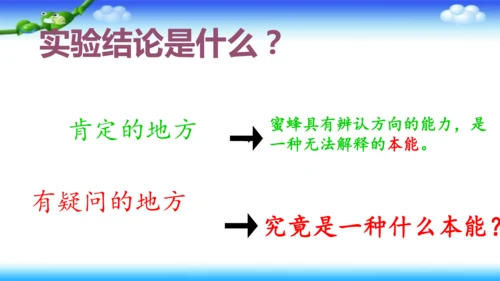 14《蜜蜂》课件